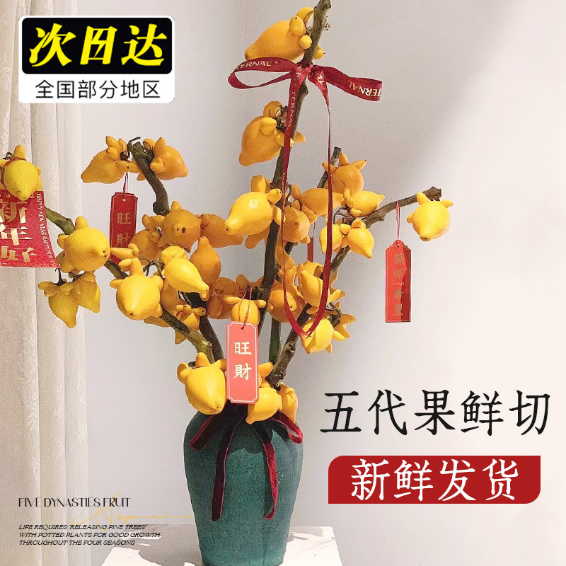 速发五代果鲜切五代同金黄堂果花束绿用插花鲜切花真花家植物花卉
