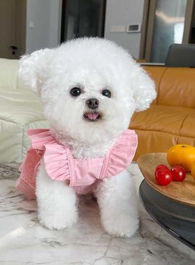 速发衣引春款韩系飞泰蕾丝裙子袖迪比熊猫咪薄款牵服衣服