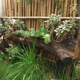 速发老木头花盆原木花意木桩盆盆特色花盆造型独特的多肉花花创盆