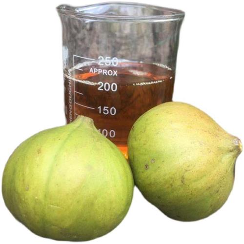 速发湖南湘西桐油纯木器熟桐油木用防水防腐代替木油木地板用油网