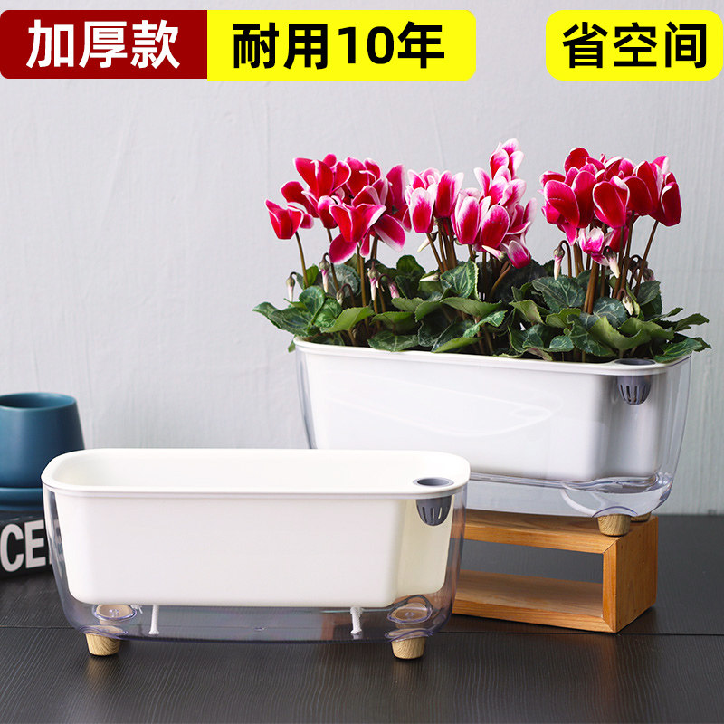 速发多肉花盆塑料桌面绿内懒家盆人用自吸水透明室植盆栽绿萝花卉