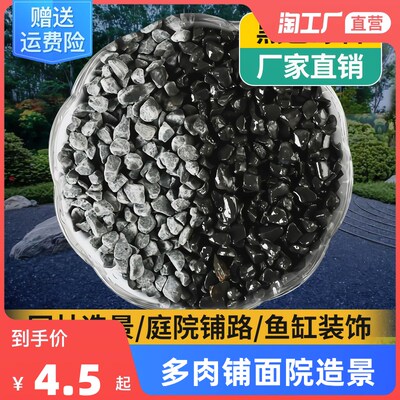 速发黑石鱼小石头铺地花黑园艺园色砾石子缸铺底石庭院造景水洗石
