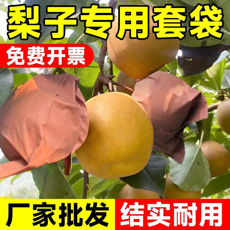 速发子梨套袋秋月梨水果套鸟果蔬袋草莓葡萄桃子纸袋防虫防袋神器