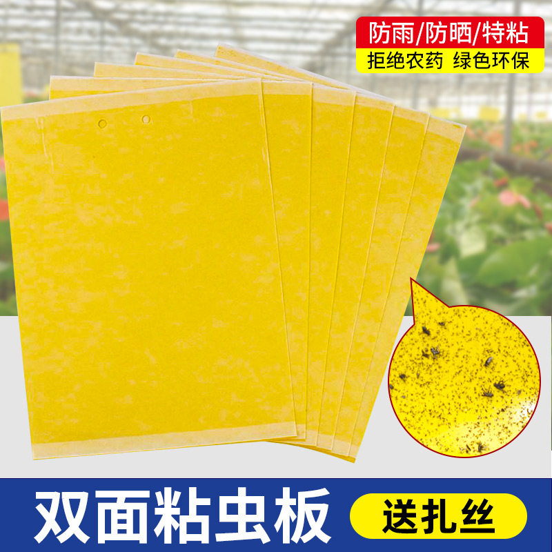速发黄蓟双面粘虫板诱虫板大棚板板蓝马果树果园家用室内沾虫小黑