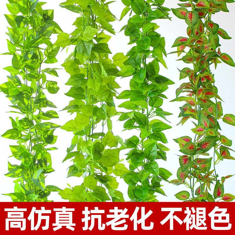 速发藤条绿萝叶假树叶室内花调水管道装饰蔓绕遮挡塑料空藤缠绿叶