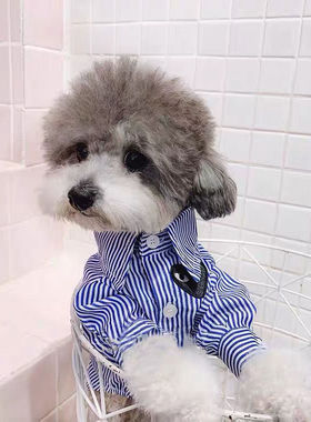 速发春娃衣服娃白条爱心衬衣雪纳瑞泰迪博美比熊吉蓝夏猫薄款