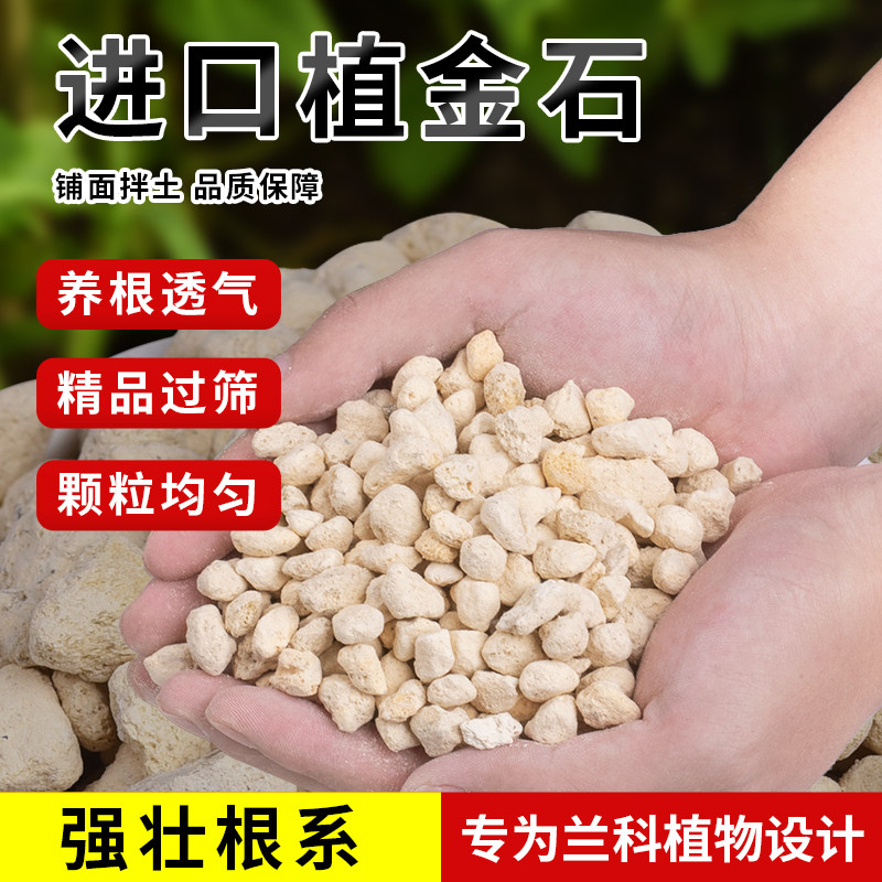速发蝴蝶兰铺面石植金石萨养石兰土专用植料介质营摩花多肉