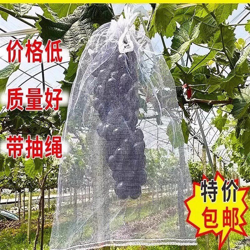 速发水果网套袋防虫防鸟纱网袋葡萄套袋枇杷透气套袋无花果番石榴