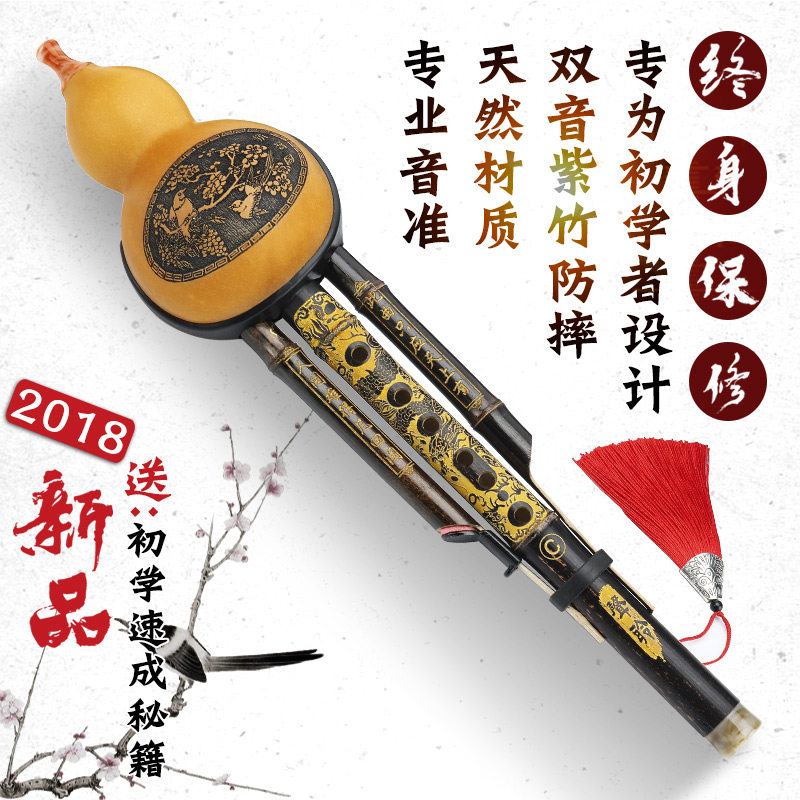 速发葫芦丝初学成人专业奏演型儿童小学生入C防摔胡芦丝门调降b调