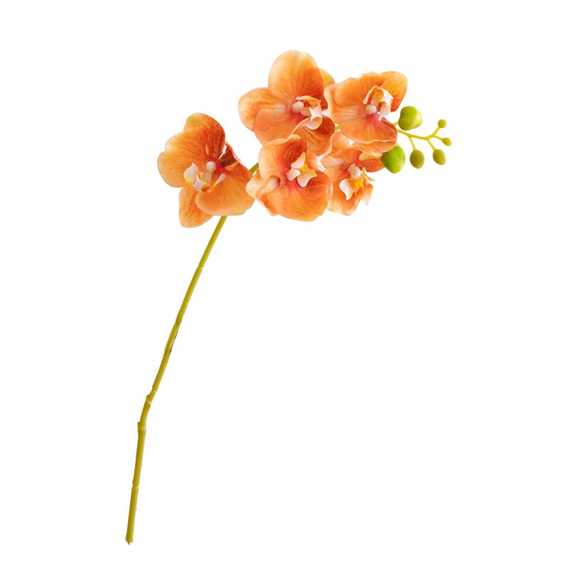 速发蝴蝶兰假花仿真花摆设仿生花摆件花艺花朵装饰轻奢高端餐桌插