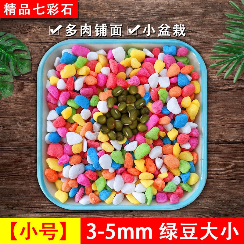 速发铺肉多彩石花盆花卉透气装饰面石子园艺七彩石子鱼缸造景五彩