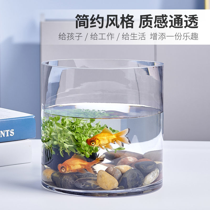 速发桌玻璃厚水族箱小型创意生态圆形号柱大圆乌龟缸客厅缸面小鱼
