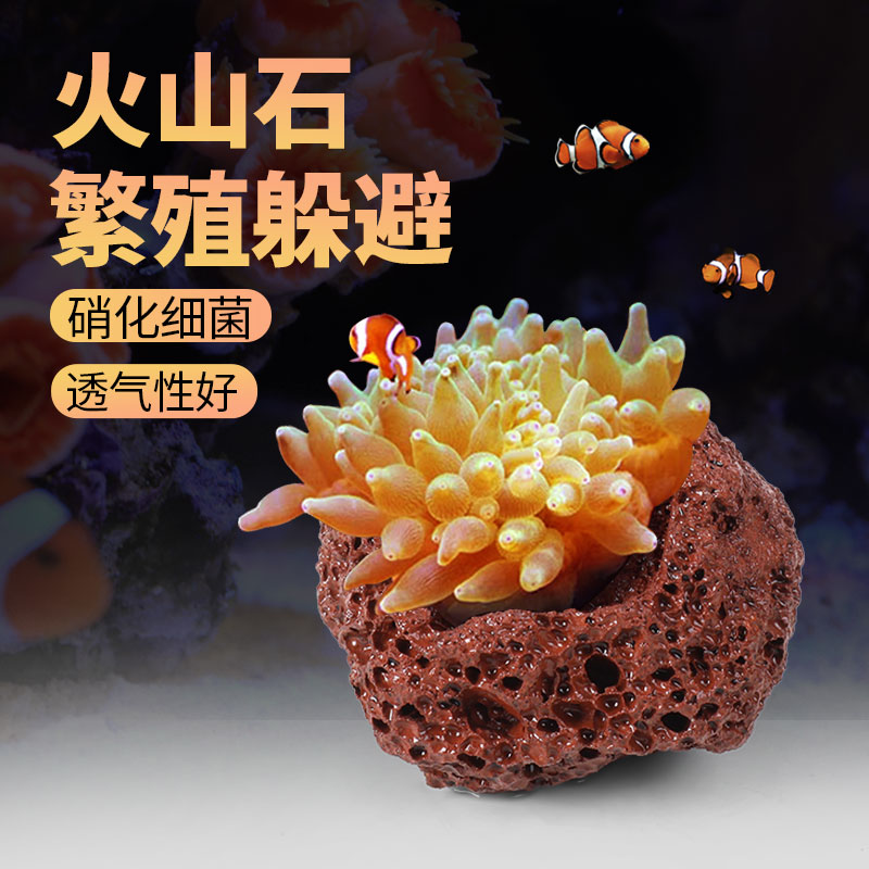 速发海葵窝巢奶嘴窝地毯屋窝殖嘴杯防跑小丑鱼陶瓷繁奶罐陶罐山火