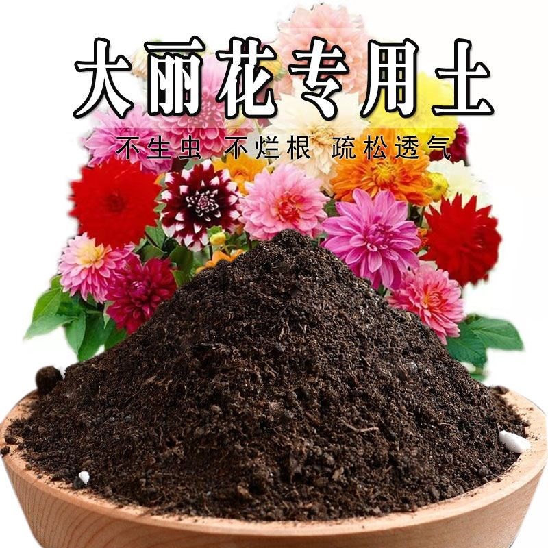 速发大丽花土养丽花营大土盆栽用养花种花土通土种植土壤肥料