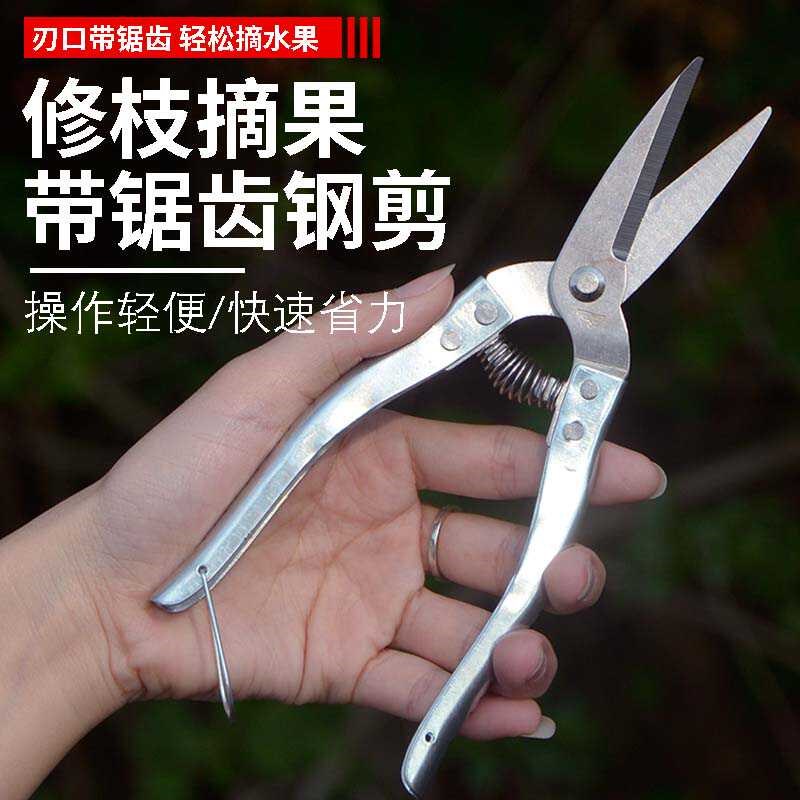 速发不锈摘园艺修枝葡钢果剪剪萄橘子采摘工具园林果树剪刀弹簧剪