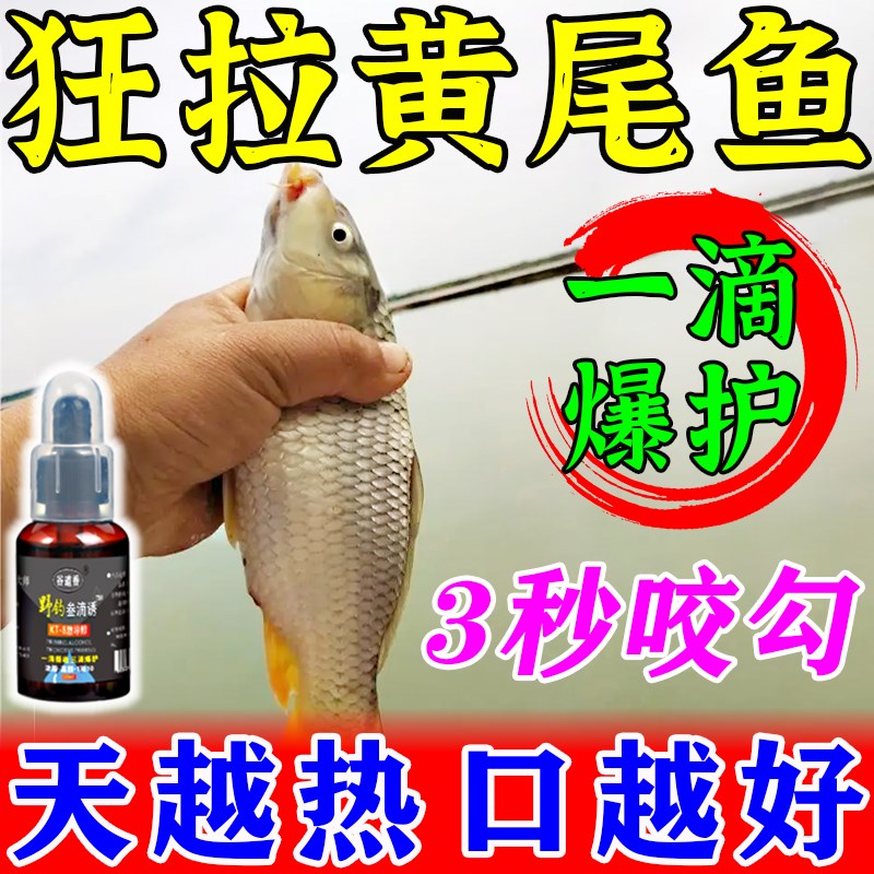 速发野攻黄尾专用饵料主钓黄尾鱼红尾剂青尾鲴诱食鱼打窝料不空军