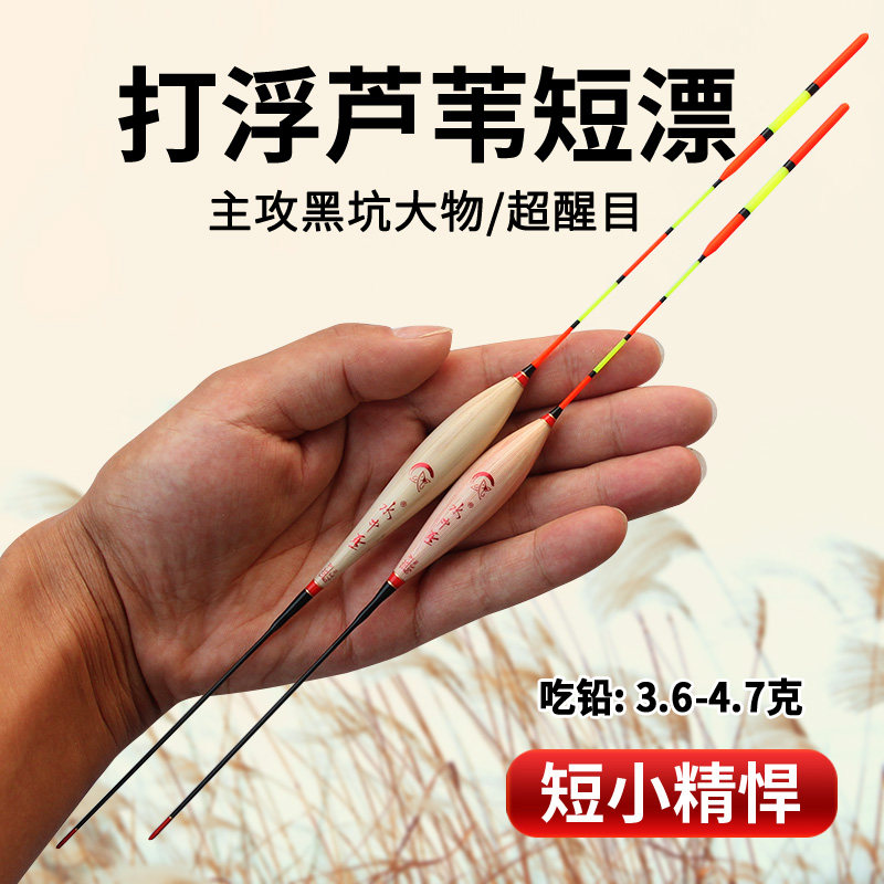 速发浅苇大物芦苇漂加鳙尾远投打浮短芦水鲤鱼青草鲢粗鱼漂