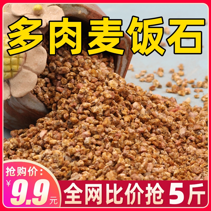 黄金软麦饭石颗粒土多肉专用营养土铺面石种植土多肉植物混合颗粒