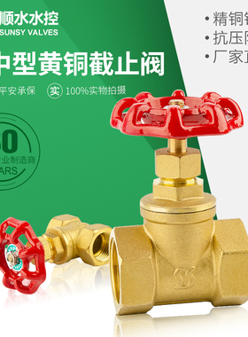加厚暖气黄铜截止阀水管阀门开关dn20dn25高温蒸气PPR双外牙活接
