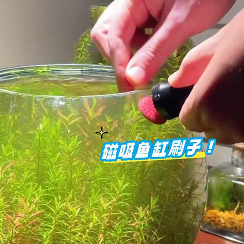 鱼缸磁吸硅胶内壁玻璃瓶清洁软刷