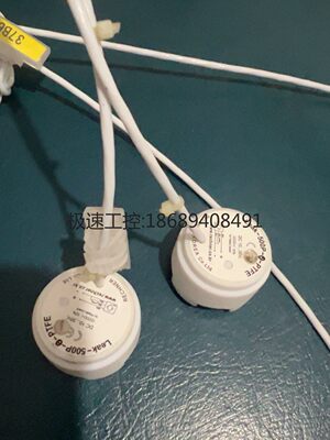 LeaK-500N-S-P-PTFE 全新2只300