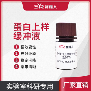 2X 4X 5X 蛋白上样缓冲液 非变性蛋白上样缓冲液含DTT 巯基还原剂