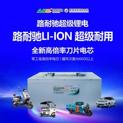 比亚迪磷酸铁锂刀片电芯 大容量 电动三轮车四轮车专用动力锂电池