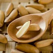 大颗粒 25年新货巴西松子坚果零食 230克 手剥松子 春茶夏莲