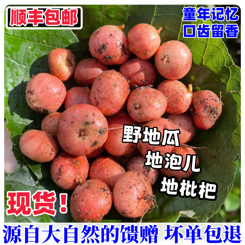 广东野地瓜果子野生小地瓜新鲜水果地枇杷石榴果儿时美味顺丰现货