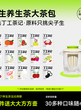 丁工茶记大茶包独立小包装袋养生茶包茶包适合女生喝的花茶女养生