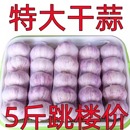 今年新蒜紫皮大蒜干蒜5斤杞县独头大蒜种子新鲜紫白皮蒜瓣10