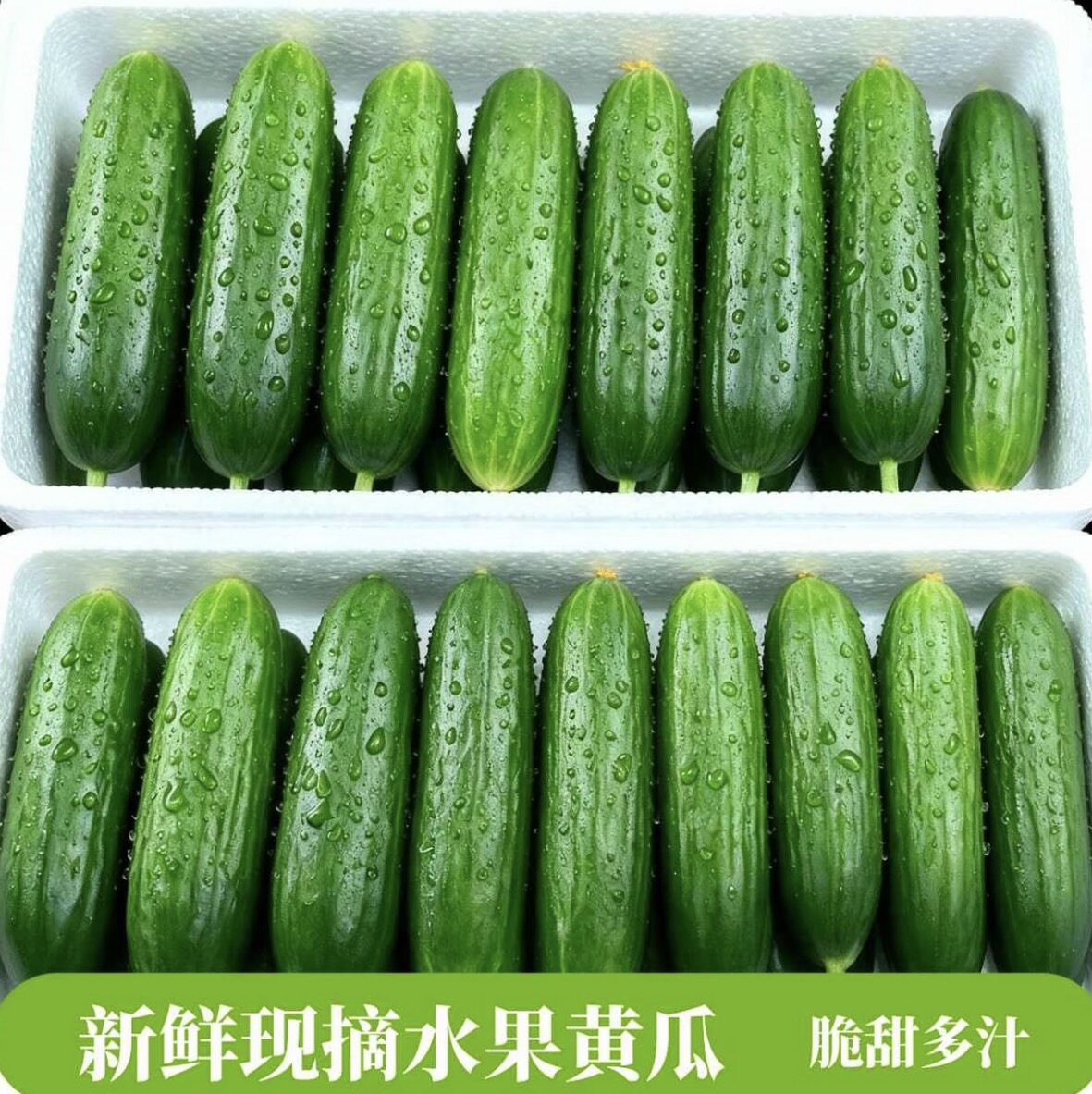 水果黄瓜新鲜生吃当季整箱5小青瓜斤时令蔬菜白玉女即食10包邮旱