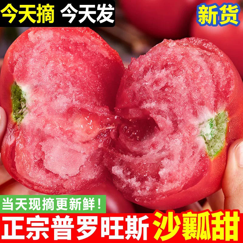 西红柿新鲜自然熟5斤沙瓤水果生吃当季整箱普罗旺斯农家大番茄