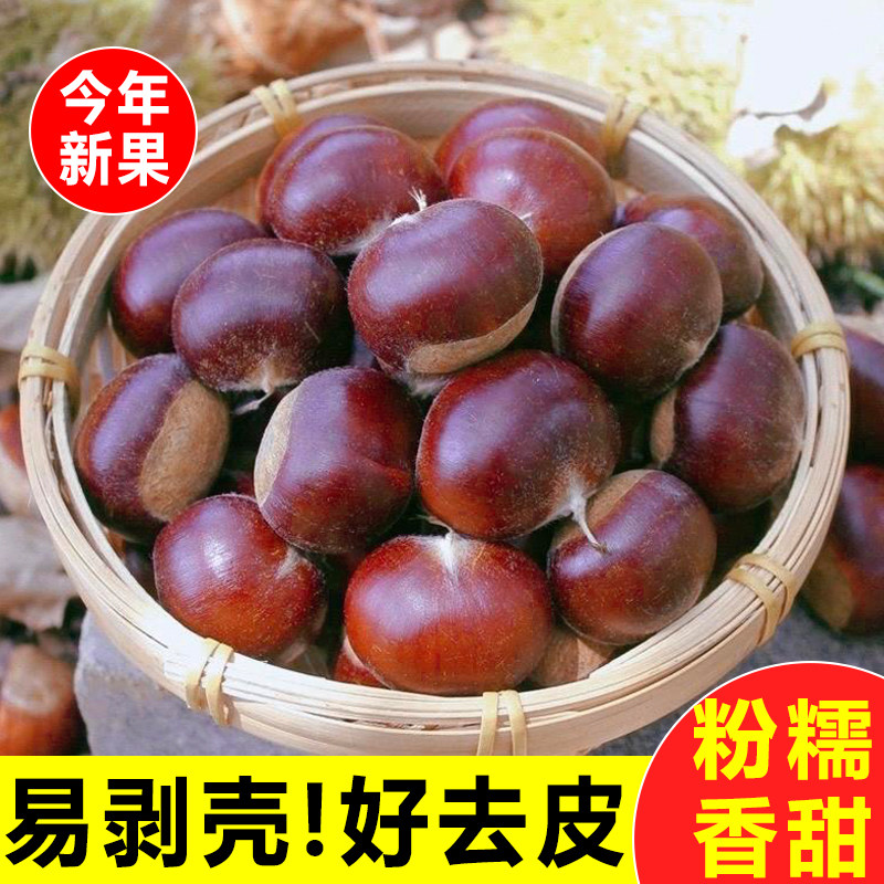 2026板栗生新鲜云南老树油栗子野生毛栗子迁西板栗野生锥毛栗子