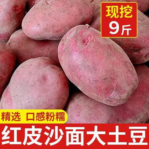 云南红皮黄心土豆9斤包邮新鲜小土豆农家蔬菜洋芋自种马铃薯批发