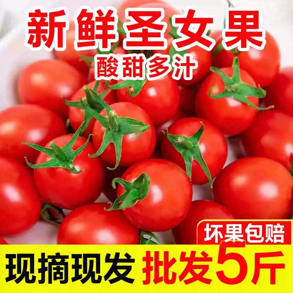 新鲜圣女果应季水果小番茄小柿子小西红柿千禧宝宝孕妇做冰糖葫芦