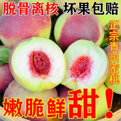 山东青州蜜桃冬雪水蜜桃特产新鲜时令水果当季现摘整箱脆桃毛桃子