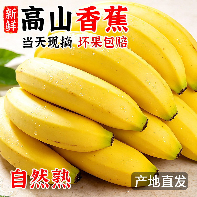 高山香蕉当季水果青皮蕉自然熟