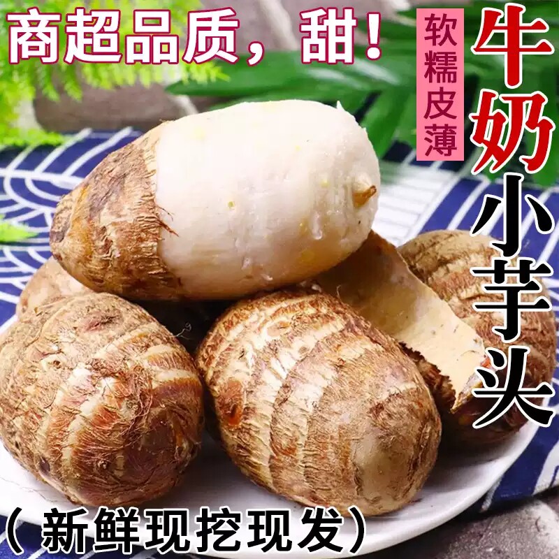 农家自种牛奶芋头软糯香甜小芋头现挖现发新鲜芋头产地蒸煮食用