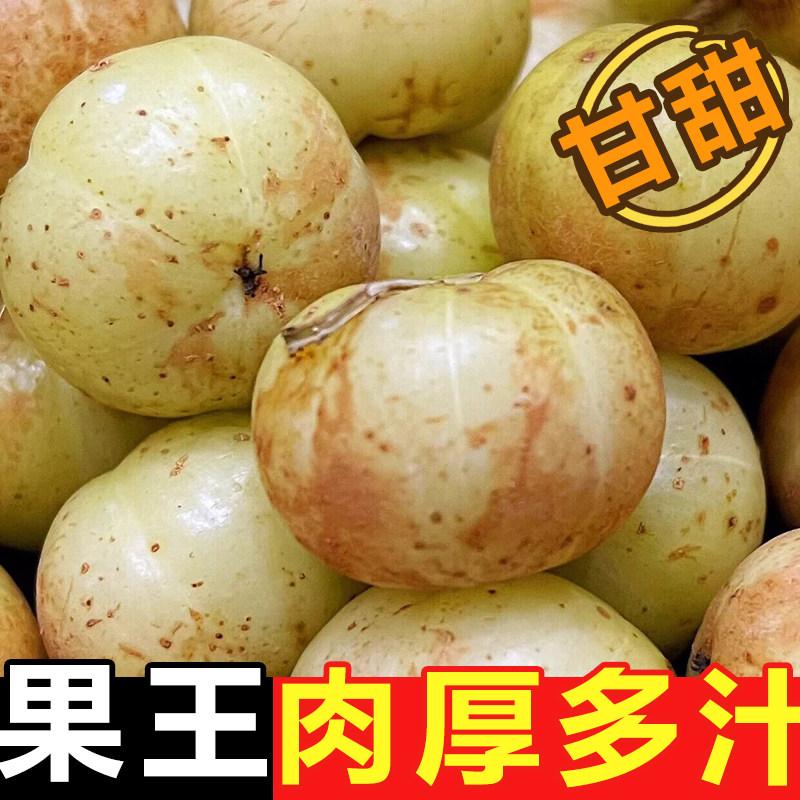 现货潮汕新鲜采摘油油甘果余甘果余甘果酸水果泡酒榨汁滇橄榄包邮