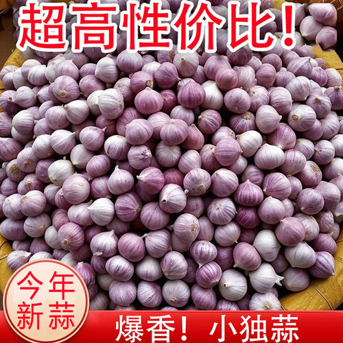 农家紫皮独头蒜干蒜农家新大蒜批发当季新蒜红皮蒜大蒜头干独蒜