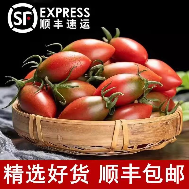 助农迷彩小番茄紫色小西红柿新鲜圣女果子弹头小柿子农家种植脆甜