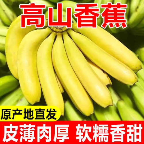 广西高山香蕉3/5/9斤精选装当季水果青皮蕉皮软可食整箱包邮发货