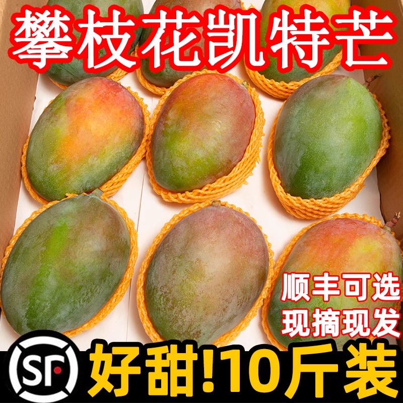 四川攀枝花凯特芒果新鲜10应季斤水果芒果整箱包邮特大青忙果当季