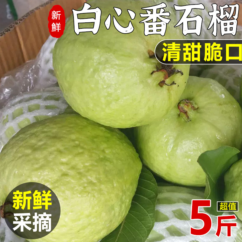 广西白心芭乐脆甜白肉番石榴新鲜现摘水果新鲜应季水果整箱包邮