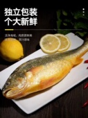 非冷冻 条蒜瓣肉 冰鲜黄鱼深海黄花鱼 600g