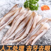 鲜切鱿鱼须八爪鱼须章鱼须海鲜烧烤铁板鱿鱼须