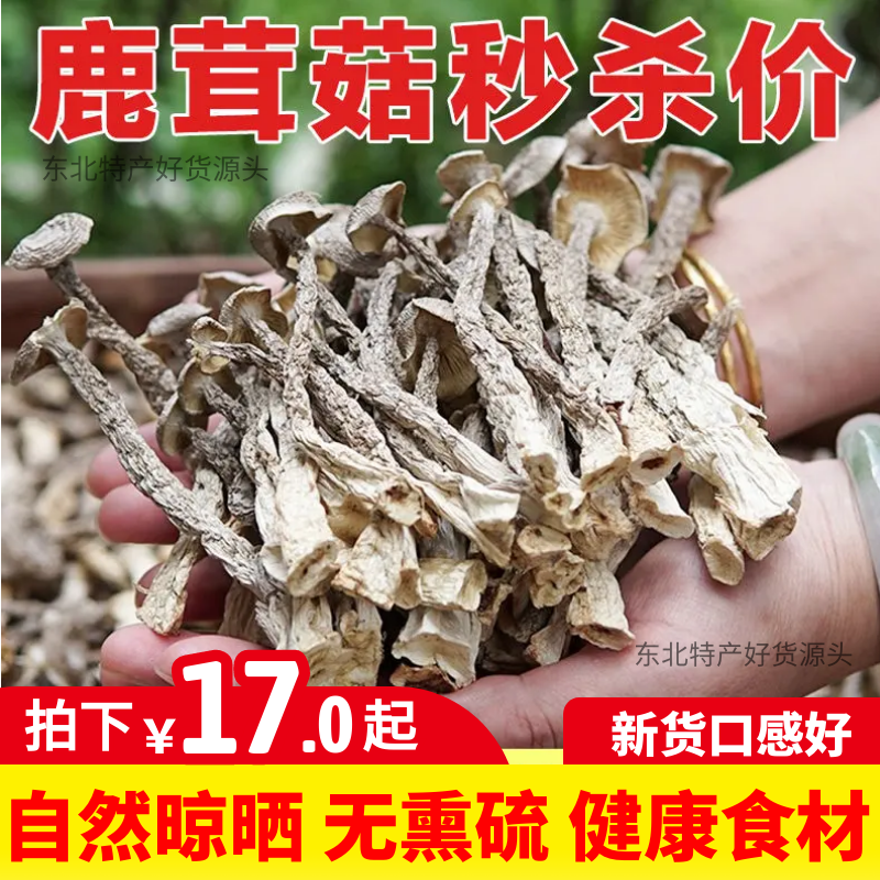 东北干鹿茸菇煲汤营养食材500g