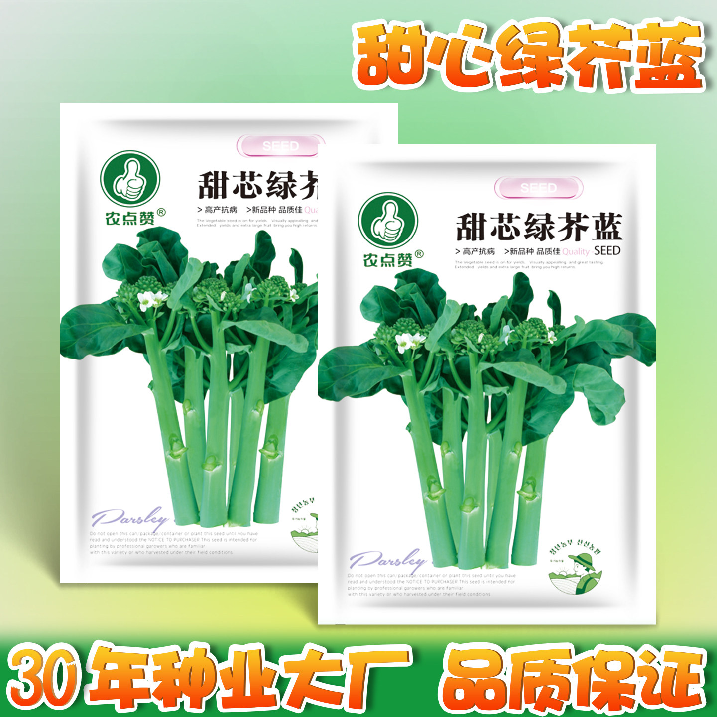 甜芯绿芥蓝种子柳叶百花甜脆芥兰种籽四季菜心种孑农家青蔬菜种子