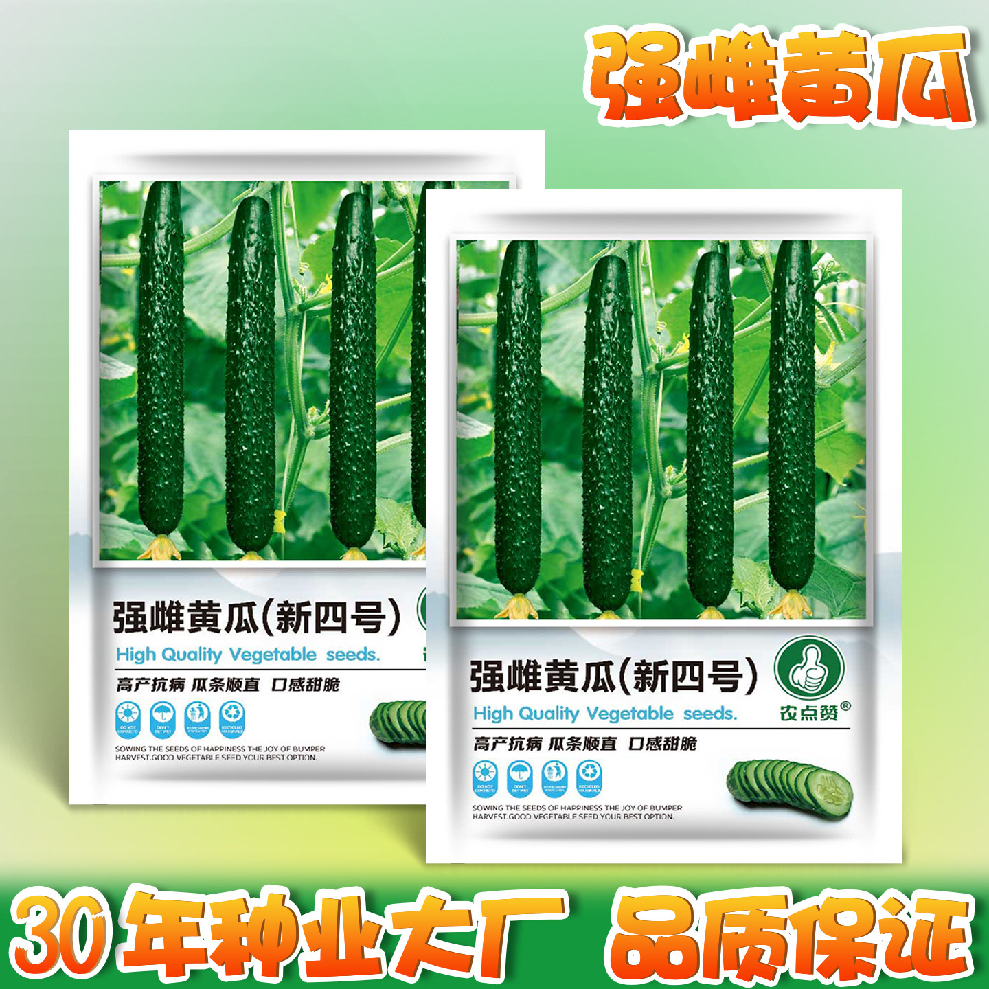 老品种黄瓜种子带刺口感甜脆强雌黄瓜种籽农家小院四季种蔬菜种子